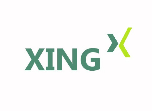 Logo Xing